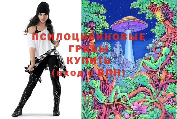 прущие грибы Баксан
