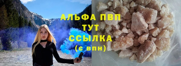 прущие грибы Баксан
