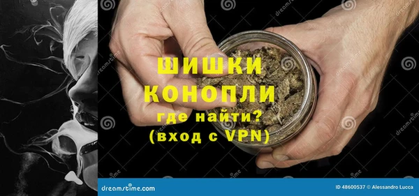 прущие грибы Баксан
